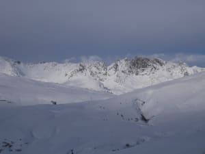 P1040159 ts0hwy - Eugenol