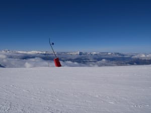 P1040241 tookyy - Eugenol