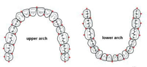Pad carte srumxd - Eugenol