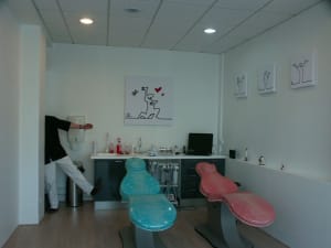 Pict0002 fl2plj - Eugenol