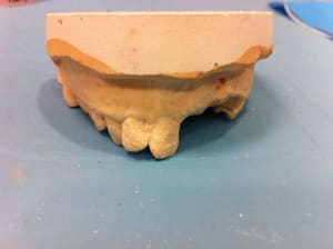 Photo 14 03 12 16 23 13 lqtwf6 - Eugenol
