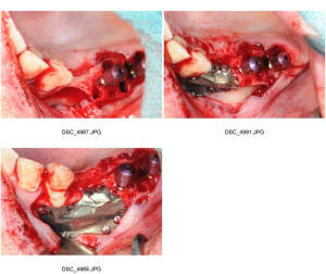 Planche contact 003 pvoiqm - Eugenol