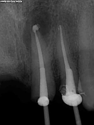 R15 qpkjsz - Eugenol