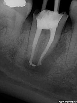 R26 vf8shl - Eugenol