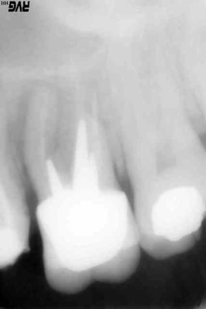 R8 xe7s4x - Eugenol