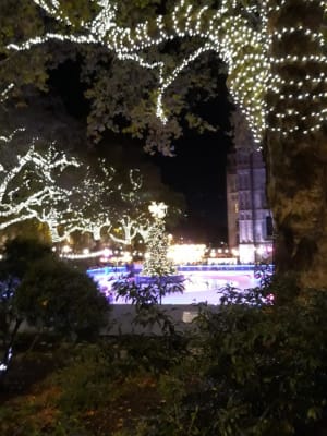 Resized 20181103 175538 0  5571 bewmoo - Eugenol