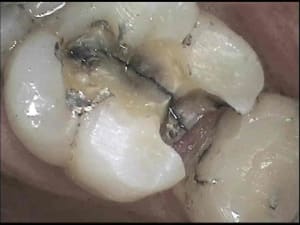 S2 zt0lbl - Eugenol