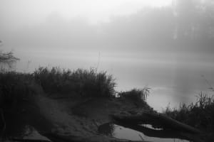  mg 3728 is re et brume lsvtlk - Eugenol