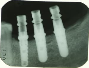  mg 6745 zweq11 - Eugenol