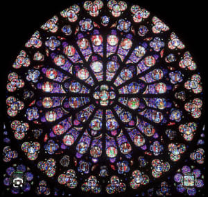 Acfmc76yzgjuqw8n10e1lr188uy5 - Eugenol