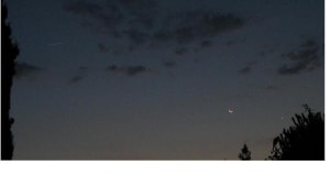 Aurore nmy8pm - Eugenol