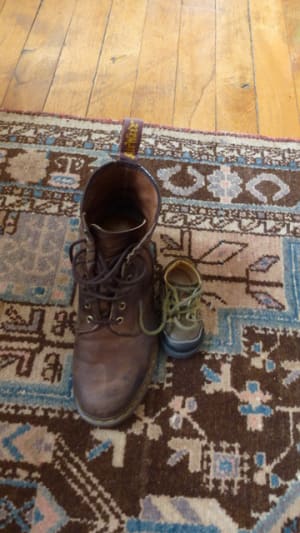 Bonheur vriyfb - Eugenol