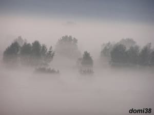 Brume matinale tdwrmd - Eugenol