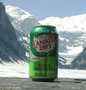 Canada dry sbydam - Eugenol