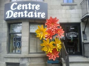 Centre dentaire q53kn6 - Eugenol