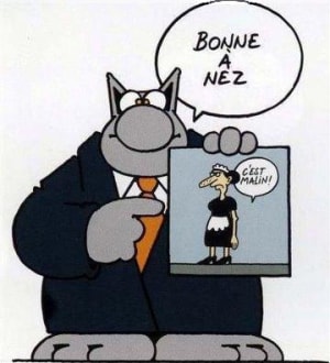 Chat geluck bonne annee ckzscw - Eugenol