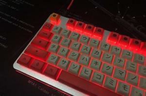 Clavier barba flg7gg - Eugenol