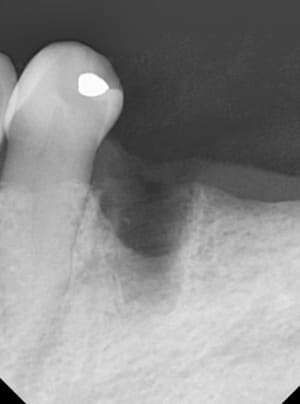 Exnj11j4b98fl5oqj3f36wf2va4r - Eugenol