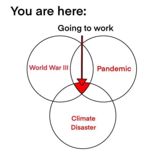 Fbvzbwafeq253yt4lfkzi71cad0k - Eugenol