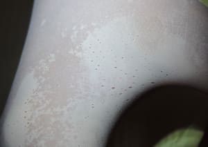 Fcn0eztd5gnsx8cqdslr - Eugenol