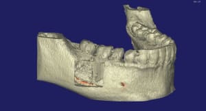 Felicia 3d9 dusdmo - Eugenol
