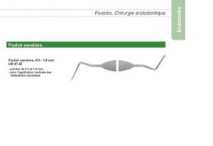 Fouloir endo gnvdci - Eugenol