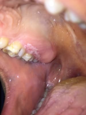 Fsggbghhssrmg2dd5sqj - Eugenol