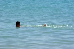 Hal2 oqr3ua - Eugenol