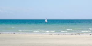 Hal4 gryshm - Eugenol