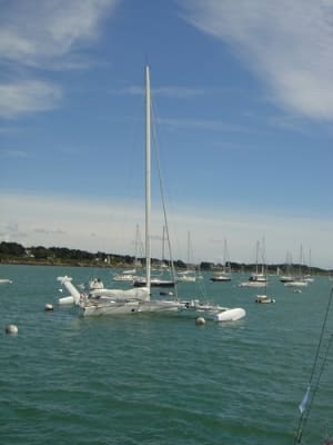 Hydroptère hzdbgb - Eugenol