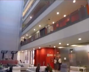 Idental rivas madrid ztzjvx - Eugenol