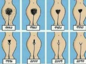 Index pockko - Eugenol