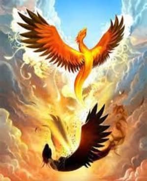 Lephoenixrenaittoujoursdesescendres n726xa - Eugenol