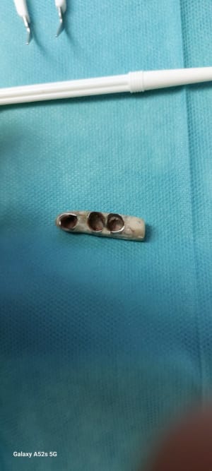 Lf8sao9ipevtp1v2tu6dsdy6qcye - Eugenol