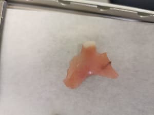 Lrbmxkdwmaufgk7dkeww - Eugenol