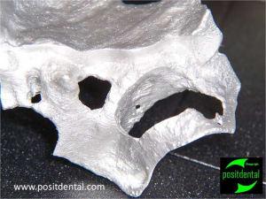 Mod le 3d st rile guide de d coupe 4 lnogkn - Eugenol