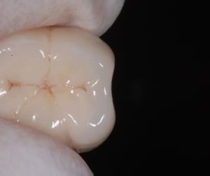 New h8yles - Eugenol