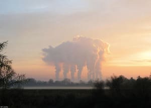 Nuage cochon wvewyc - Eugenol