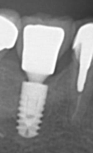Osdecembre2012 jnesa7 - Eugenol