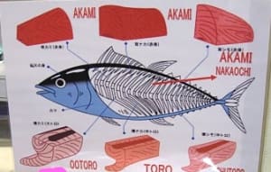 Otorovsakami twgagk - Eugenol