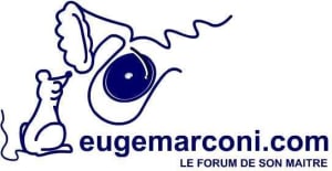 Pâtémarkénol ybooan - Eugenol