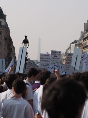 Pessoa4 uewkc8 - Eugenol