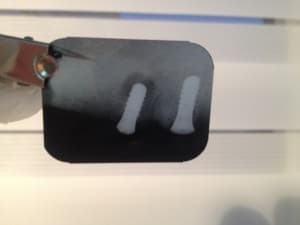 Photo 3 xhkfny - Eugenol