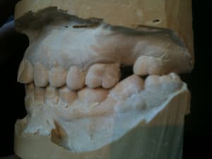 Photo profil 1 kmesft - Eugenol
