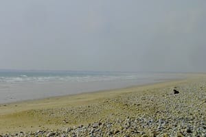 Plage dlq3nr - Eugenol