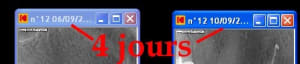 Ploc question sdqbpz - Eugenol