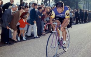 Poulidor gerlly - Eugenol