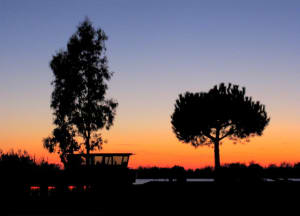 Roussillon rh ne 200910 014 vphvh1 - Eugenol