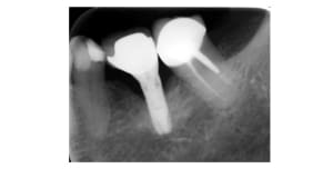 Rpjwwimtvziv9u8i408vt32a9smv - Eugenol