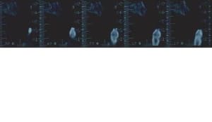 Scan a jri1o1 - Eugenol